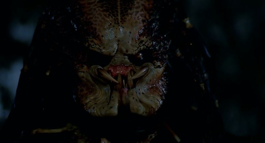 Predator.UHE.1987.x264.DTS.2AUDIO-WAF.mkv_20240817_214959.513.jpg