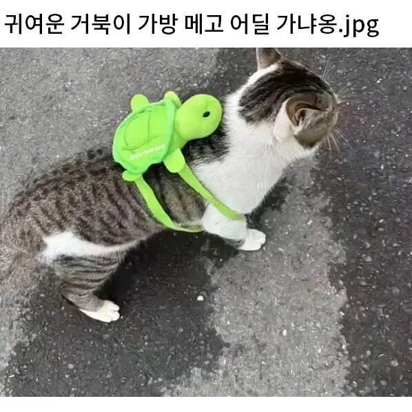 img/25/04/02/195f4eaba8858a7c5.png
