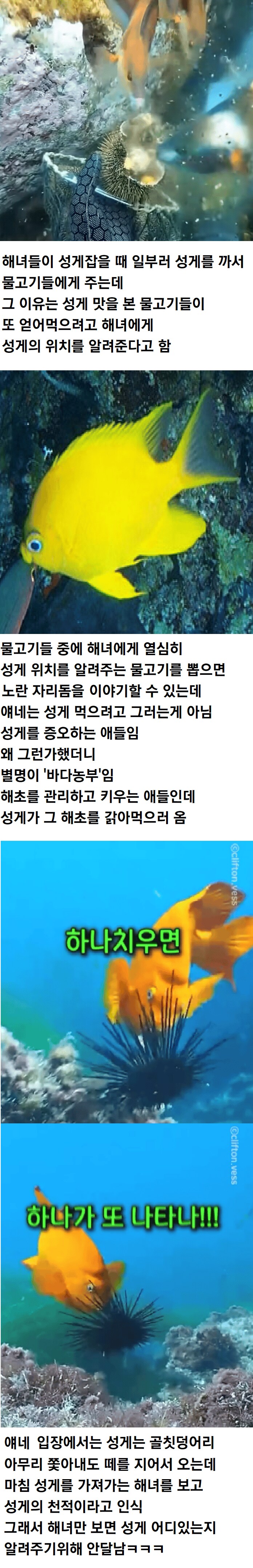 img/25/04/28/1967bda56105955d4.png