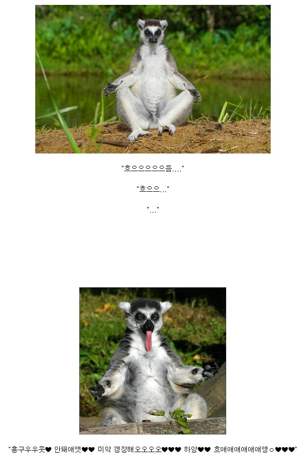 img/25/04/29/19681be0b8e223b96.png