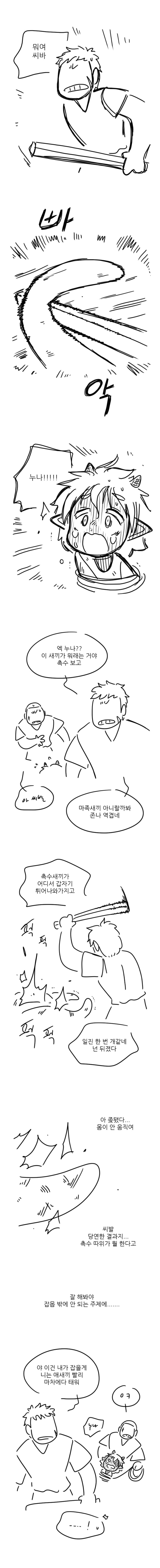 촉수만와_06.jpg