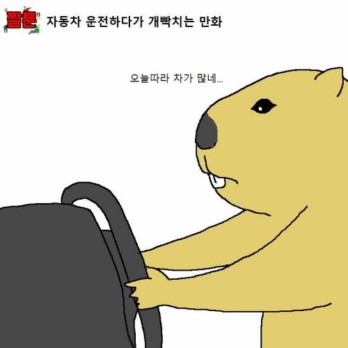 운전하다가 개빡치는 만화1.jpeg