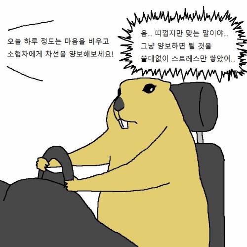 운전하다가 개빡치는 만화16.jpeg