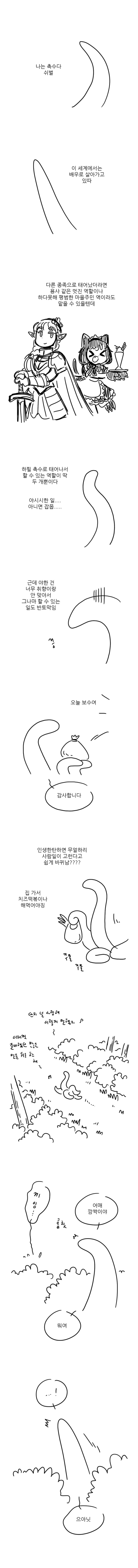 촉수만와_01.jpg