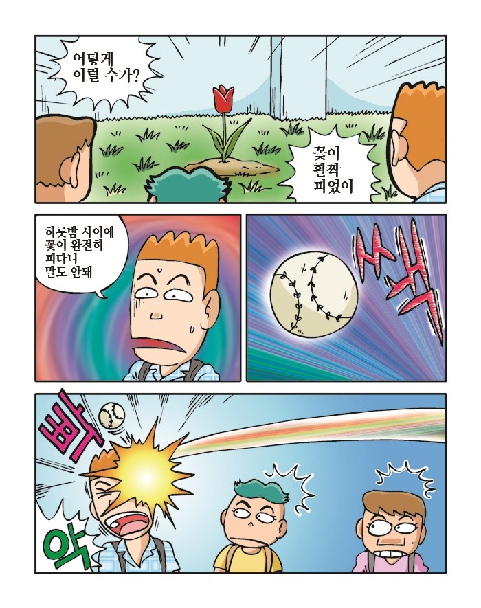 세개의_씨앗22_사본.jpg