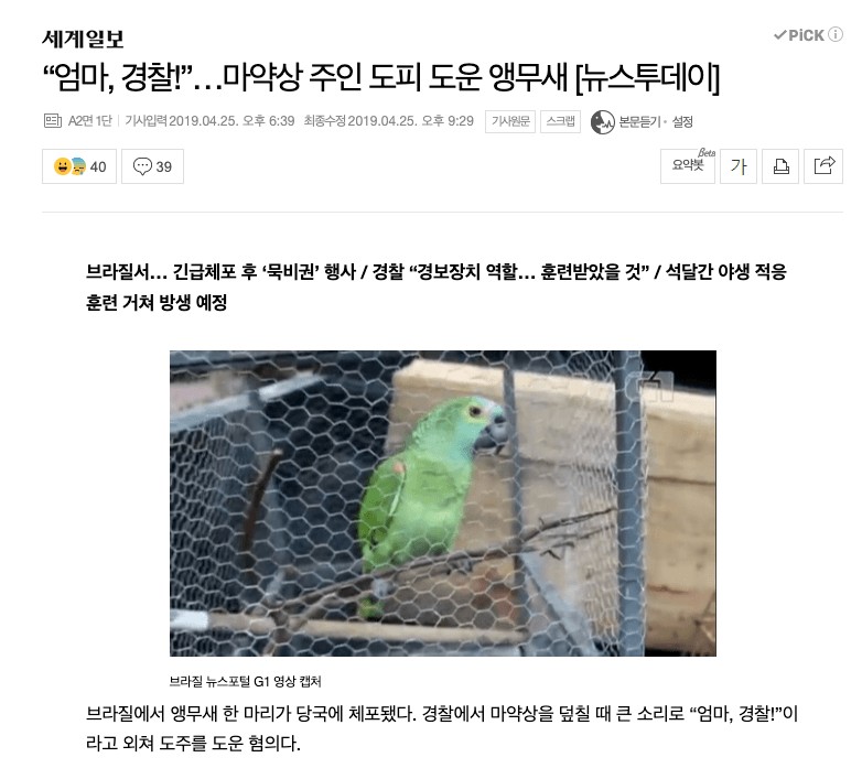 앵무새도움플.jpg