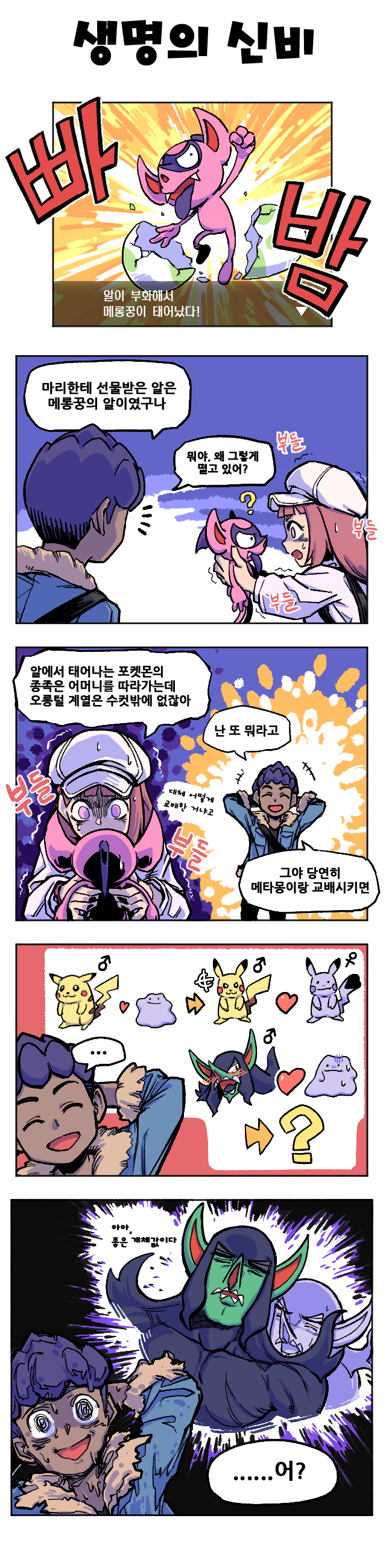 07생명의 신비.png