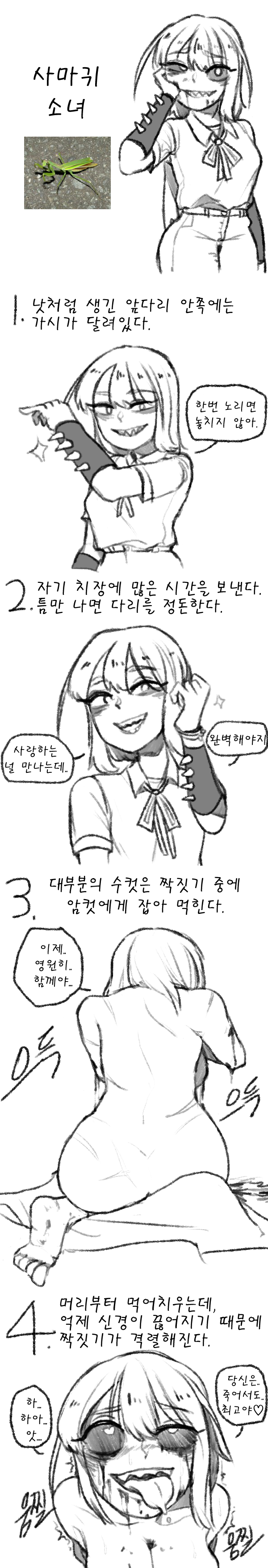 사마귀녀.png