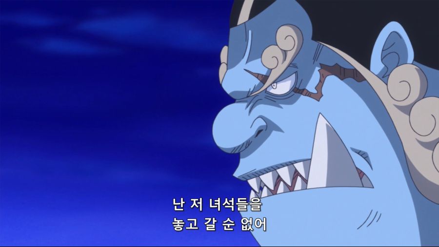 [네코상] One Piece - 876 (TVA 1920x1080 x264 AAC).mkv_20191016_200611.625.jpg