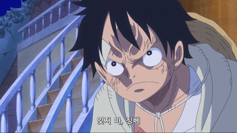 [네코상] One Piece - 876 (TVA 1920x1080 x264 AAC).mkv_20191016_200722.072.jpg