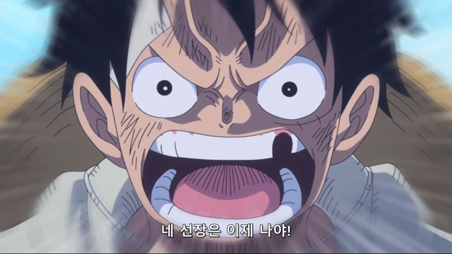 [네코상] One Piece - 876 (TVA 1920x1080 x264 AAC).mkv_20191016_200726.962.jpg