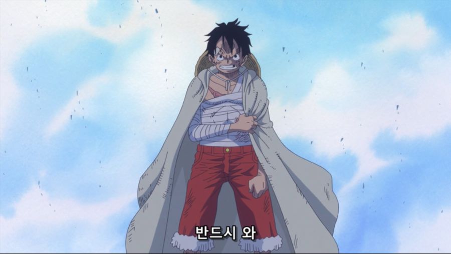 [네코상] One Piece - 876 (TVA 1920x1080 x264 AAC).mkv_20191016_200754.892.jpg