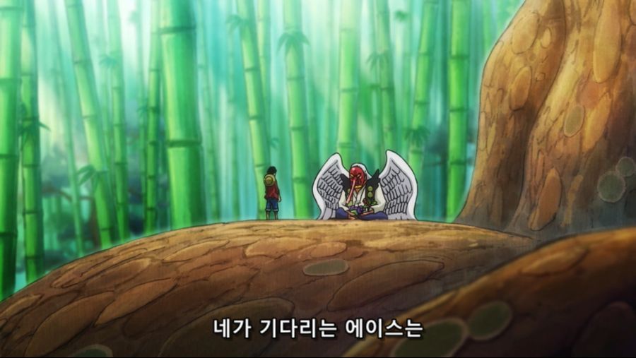 [네코상] One Piece - 894 (TVA 1920x1080 x264 AAC).mkv_20191019_160758.739.jpg