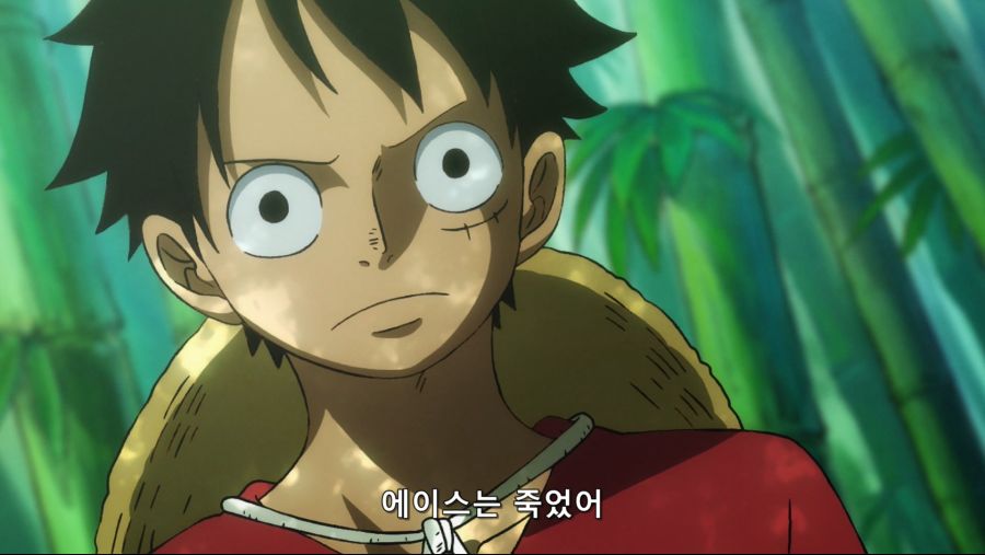 [네코상] One Piece - 894 (TVA 1920x1080 x264 AAC).mkv_20191019_160827.193.jpg