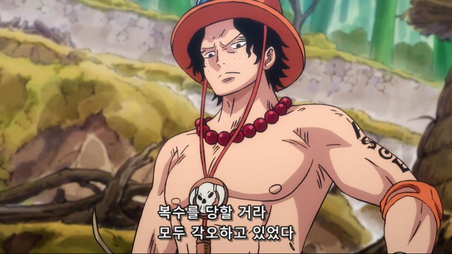 [네코상] One Piece - 894 (TVA 1920x1080 x264 AAC).mkv_20191019_161354.759.jpg