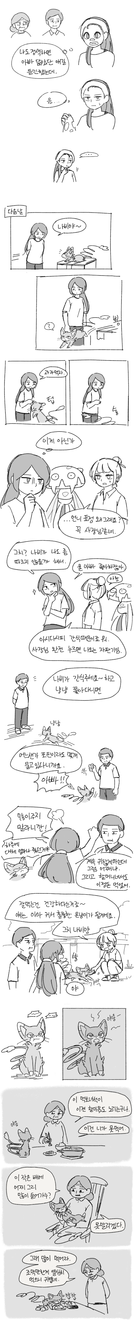 나비2.png