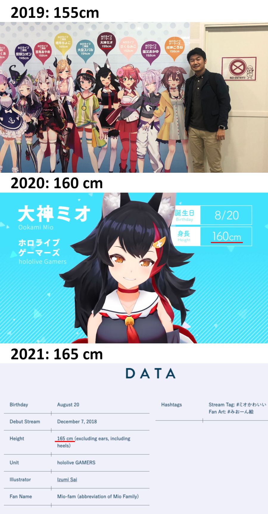 Mio height.png