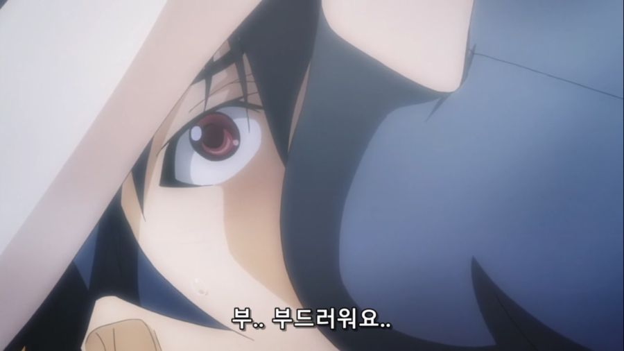 [Leopard-Raws] IS - Infinite Stratos 2 - 04 RAW (TBS 1280x720 x264 AAC).mp4_20221101_010836.002.jpg