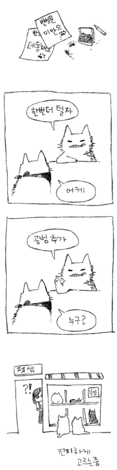 도주냥4.jpg