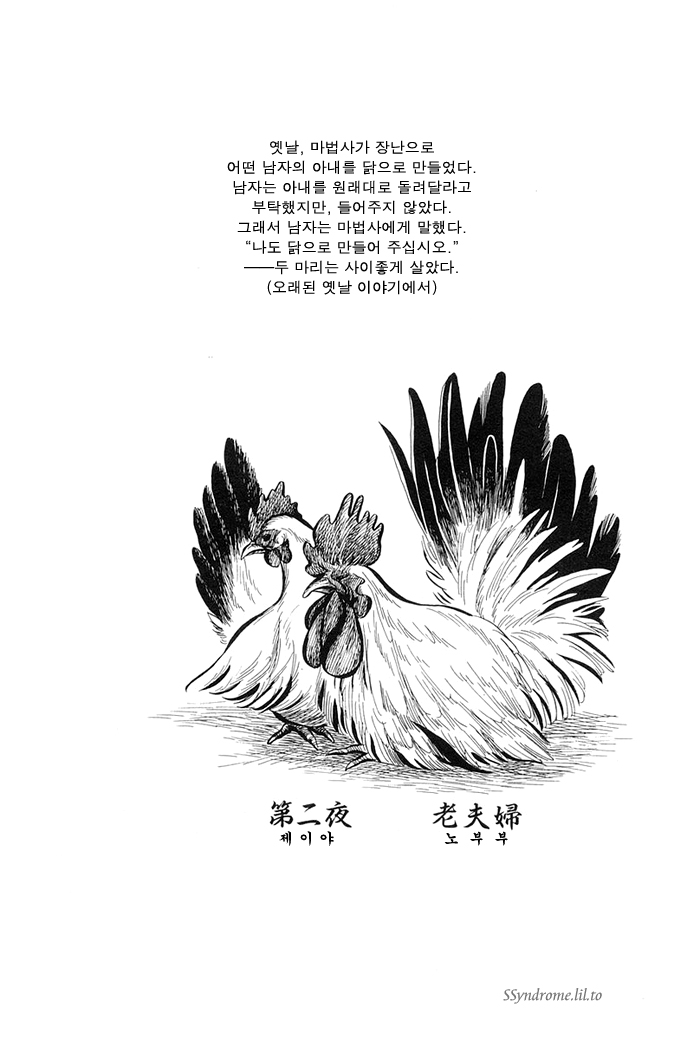 노부부1.jpg