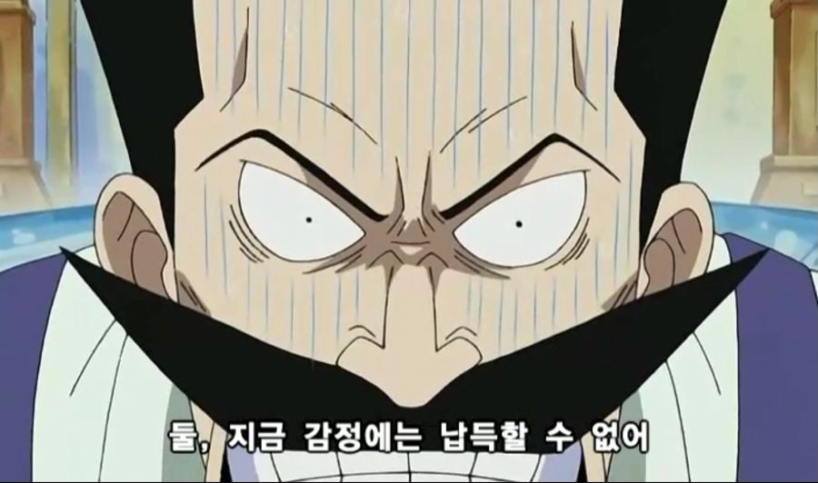 [원피스]ONE PIECE 231.mp4_20241013_095508.453.jpg