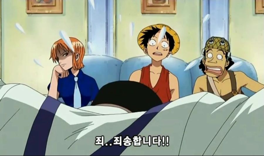 [원피스]ONE PIECE 231.mp4_20241013_095526.031.jpg