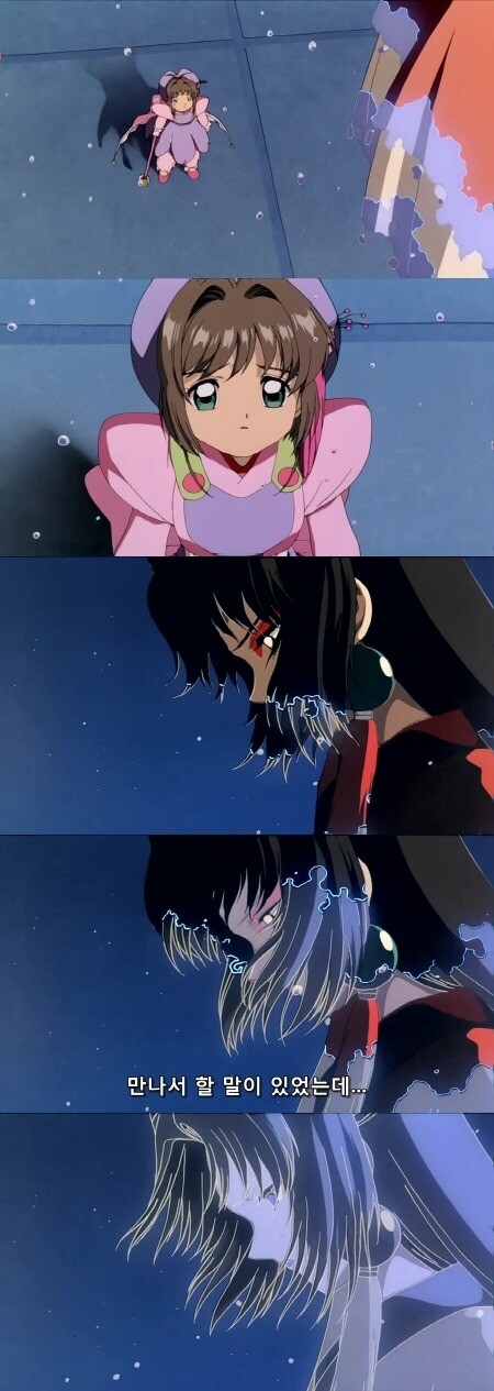 크기변환_Card.Captor.Sakura.1St.Movie.Part2of2.avi_003316.139.jpg